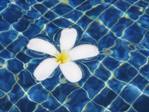 aqua aerobic, sport, kondice