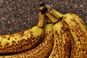 Banán, který zhnědne, nemusíte vyhazovat, může opět zežloutnout! 