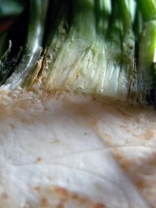 Celer - snižuje krevní tlak, posiluje kosti a pomáhá při hubnutí