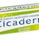 Cicaderma mast 30g