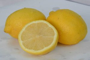 citron, citrusové plody, rakovina