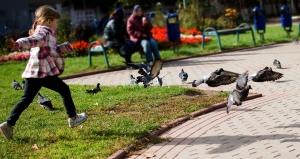 Obezita dětí v souvislosti s jejich nástupem do školy