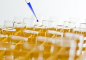Prasečí chřipka zvyšuje lidskou imunitu
