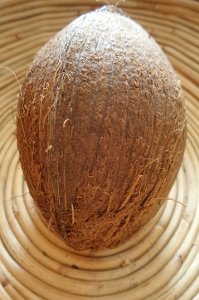 Kokosový olej úspěšně regeneruje pleť a vlasy