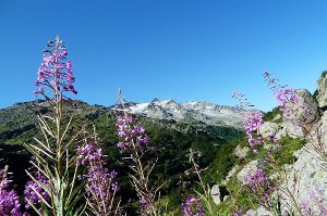 zdraví, léto, hory, horská turistika, úrazy