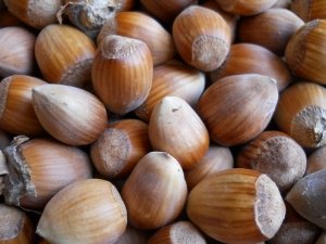 zdraví, přírodní vitaminy a minerální látky, ořechy