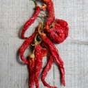 Pálivá paprika léčí, pomáhá hubnout a udržuje zdraví