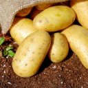 Brambory pomáhají snižovat nejen hmotnost, ale i krevní tlak