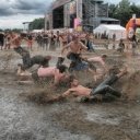 Jak se sbalit na letní festival?