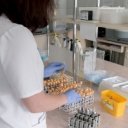 Lymfom se dá úspěšně léčit, jen je třeba ho včas rozpoznat