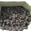 Ochrana proti volným radikálům - antioxidanty