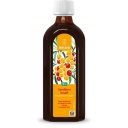 Weleda Rakytníková šťáva BIO - bez cukru (250 ml)
