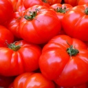 Rajčata snižují riziko infarktu a hladinu špatného cholesterolu v krvi