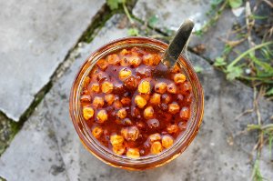 Rakytník pomáhá bojovat proti nemocem a stáří