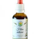 Salvia Paradise Hlíva ústřičná - tinktura bez alkoholu (50 ml)